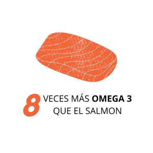 SALMON 5